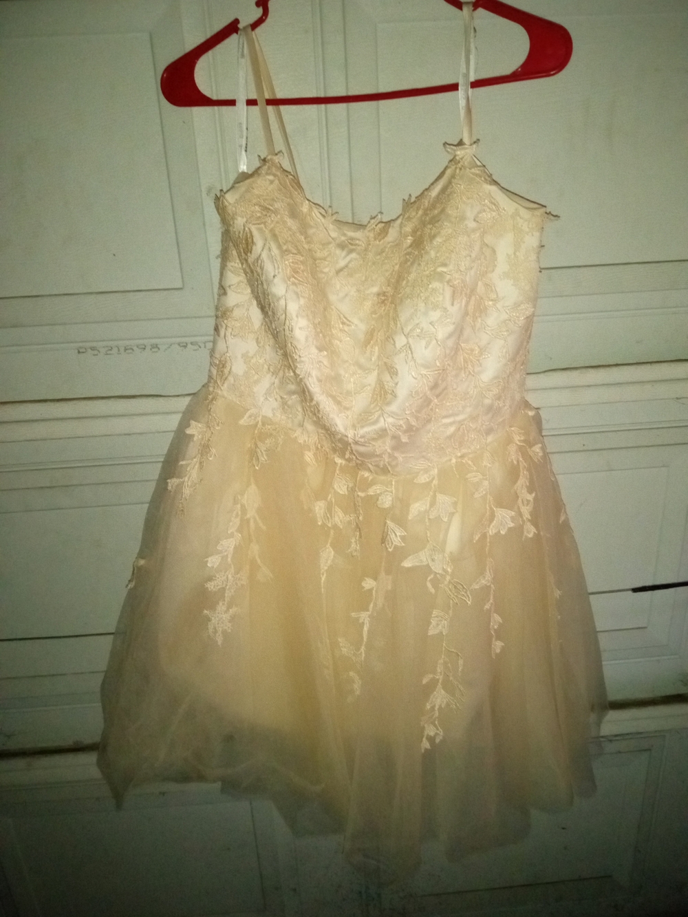 womens Lace & Tulle Party Dress in Champagne